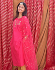 Hand Crafted Chanderi Pink Kurta